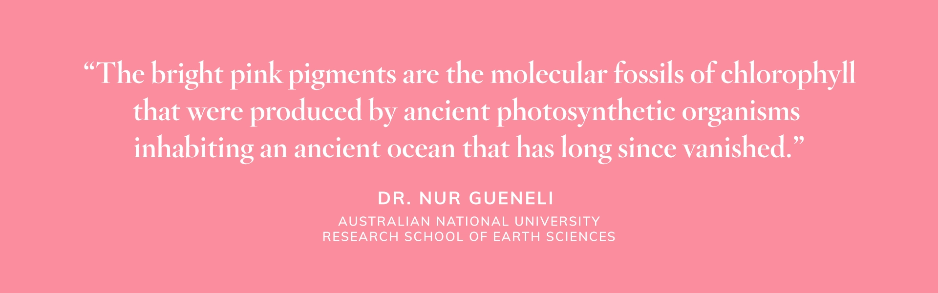 “The bright pink pigments are the molecular fossils of chlorophyll that were produced by ancient photosynthetic organisms inhabiting an ancient ocean that has long since vanished.” – Dr. Nur Gueneli from the Australian National University Research School of Earth Sciences