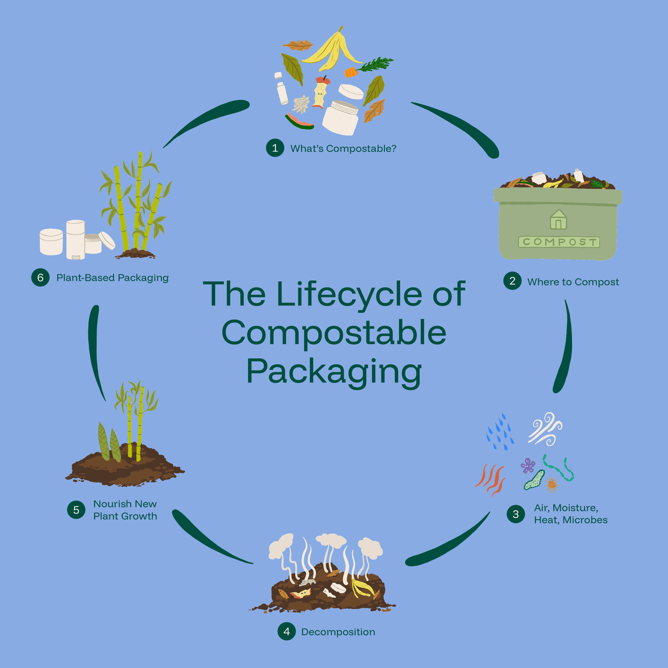 Clement Packaging - The Lifecycle of Compostable Packaging