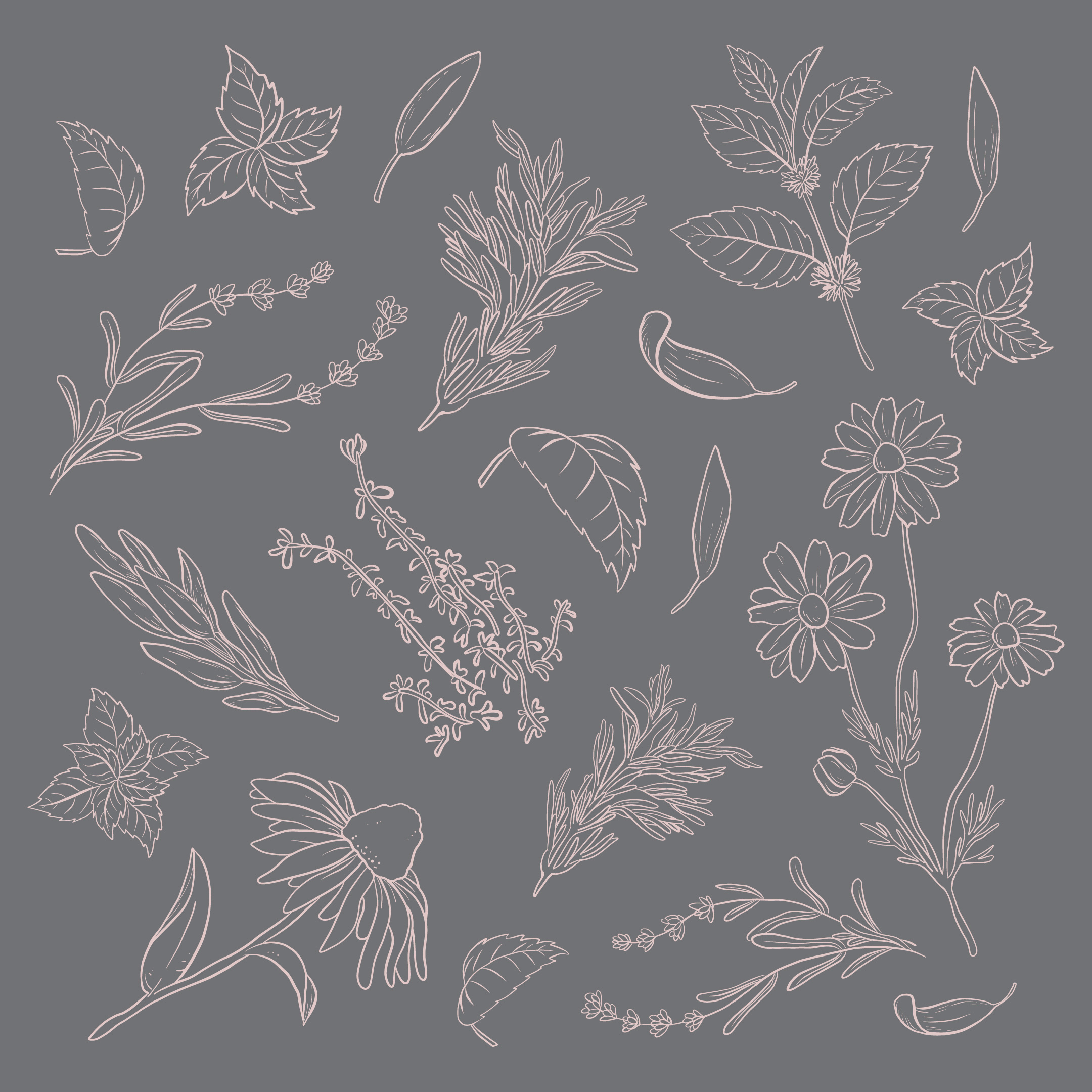 Pacific Garden tea illustrations