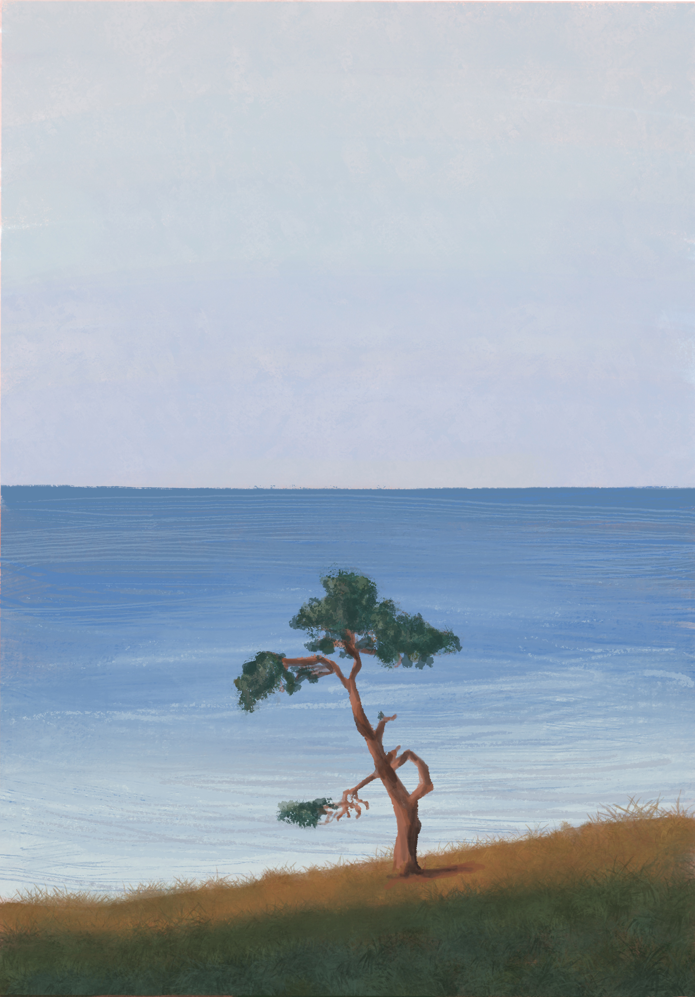 Seaside Pine at Hävang, Sweden
