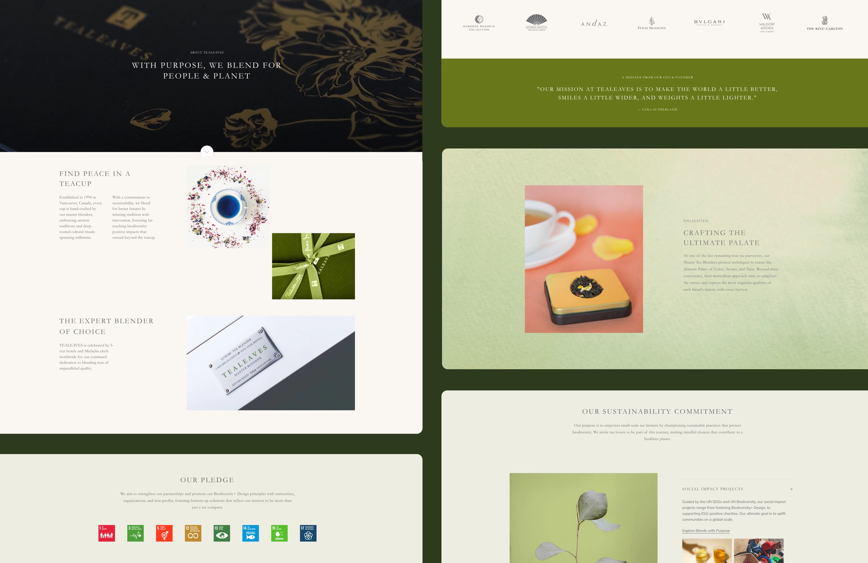 Web layout on the About Us Page