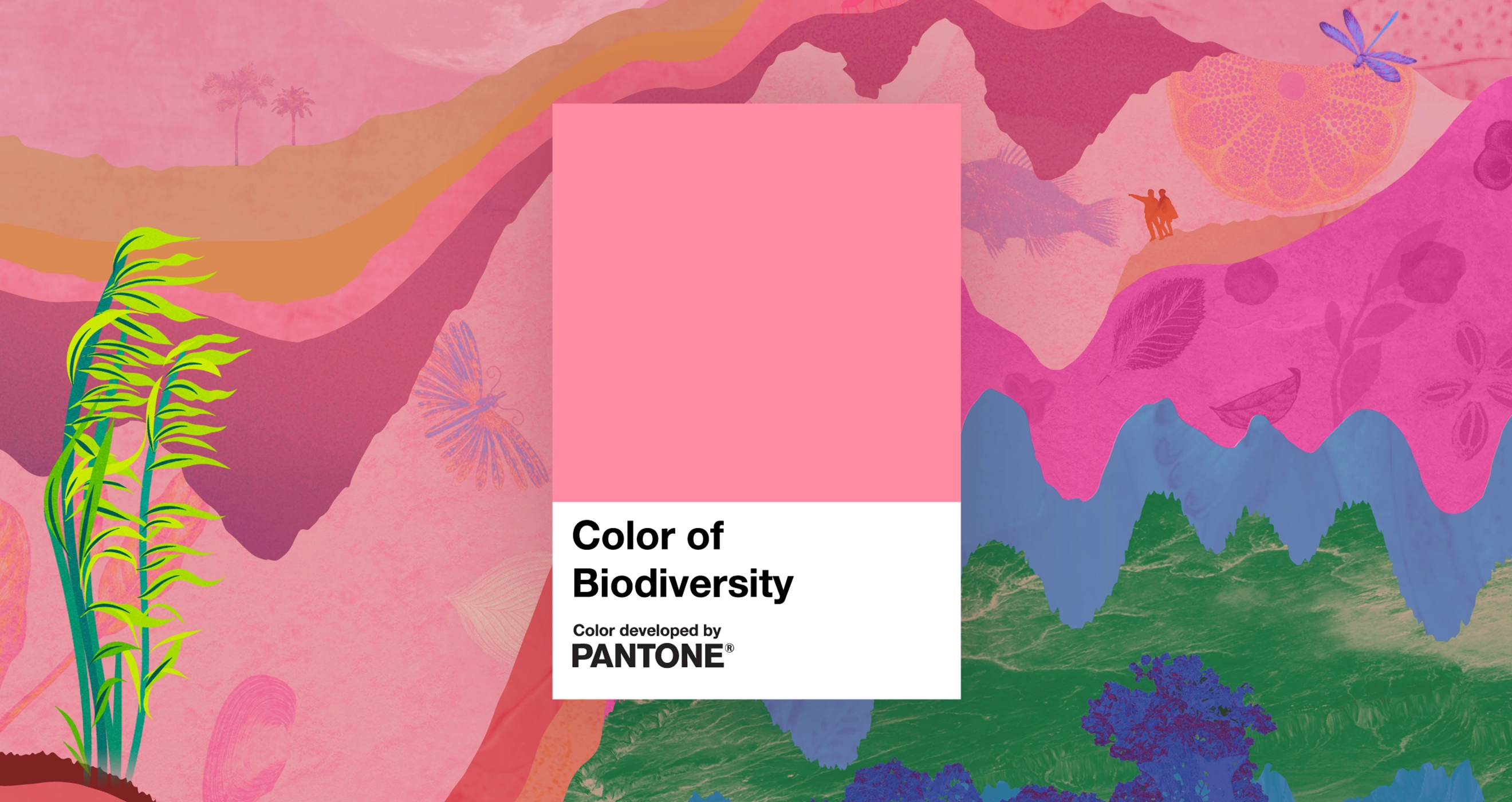 Color of Biodiversity